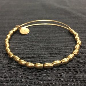 Alex and Ani Jordan Bracelet